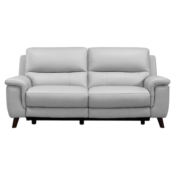 Armen Living Lizette Contemporary Sofa in Dark Brown Wood Finish and Dove Gray Genuine Leather LCLZ3DV - main